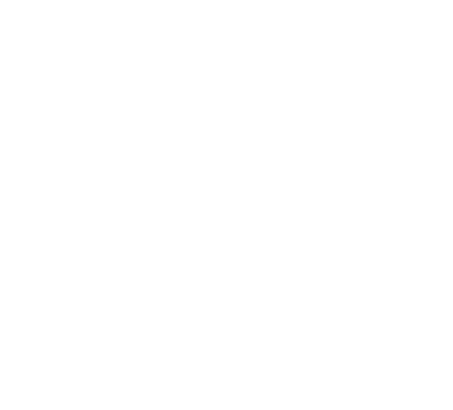 Xinda logo